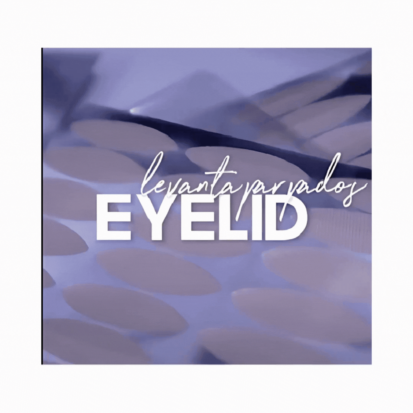 LEVANTAPÁRPADOS EYELID X120 MEJORADOS 🏆